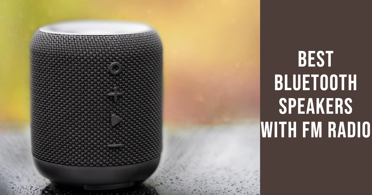You are currently viewing Best Bluetooth Speakers with FM Radio India